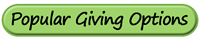 Popular Giving Options